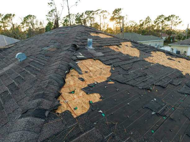 Best Asphalt Shingle Roofing  in Varnell, GA
